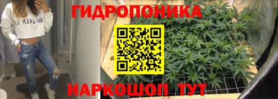 МДПВ Обь