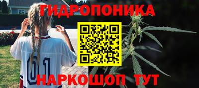 крисы Обнинск