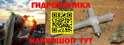 крисы Обнинск