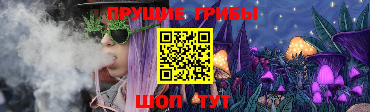 Галлюциногенные грибы мицелий  Вход с VPN  Сочи  Галлюциногенные грибы мицелий 
